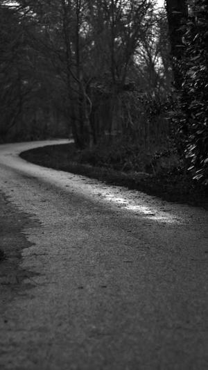 黑料不打烊官网首页截图1